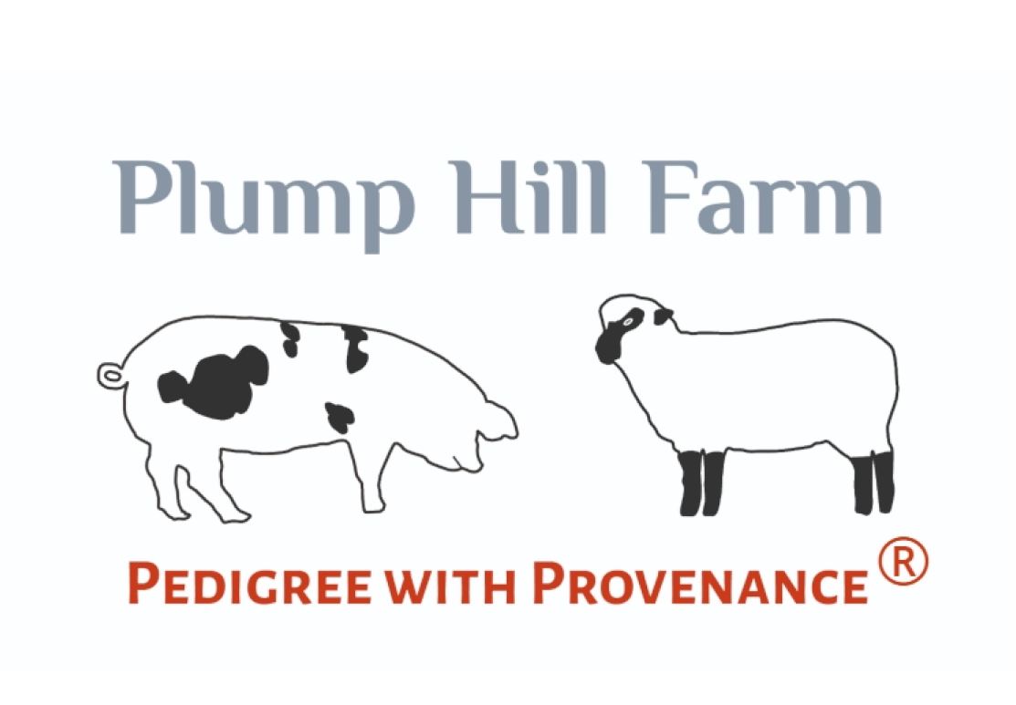 Plump Hill Farm